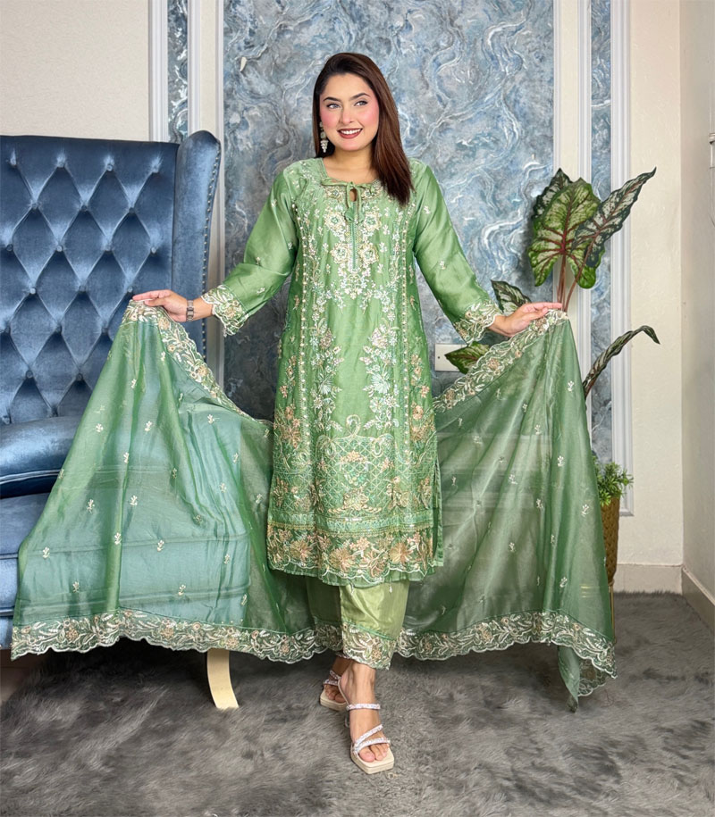 Pakistani Elite Design Party Wear (CK-11)