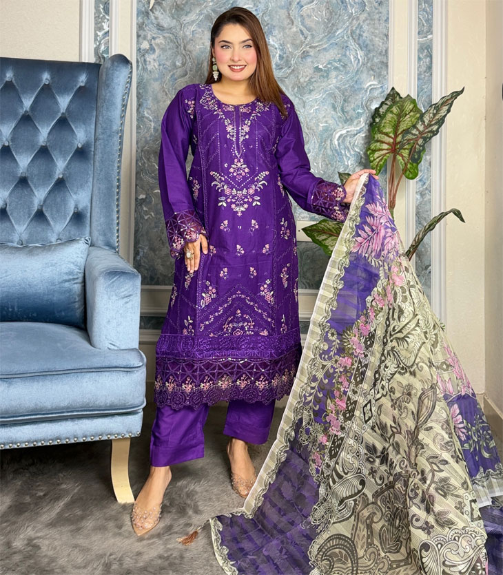 Pakistani Elite Design Party Wear (CK-08)